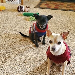 Meet your Posher, Carol